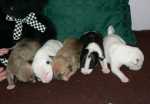 6 days old girls