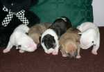 6 days old girls