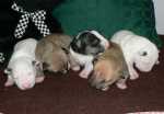 6 days old girls