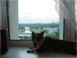 in hotell Belarus