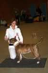 Jaffa in INTERRA show
