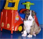 driver