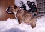 first snow