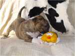 play time