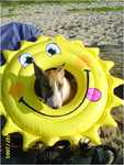 swimming