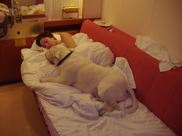 sleeping at the ferry