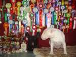 Borka with his prizes