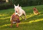 lets run!