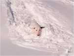 M�x loves snow