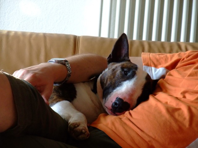 very tired boy 
