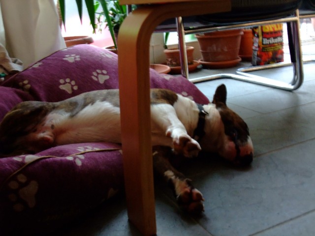 very tired boy 