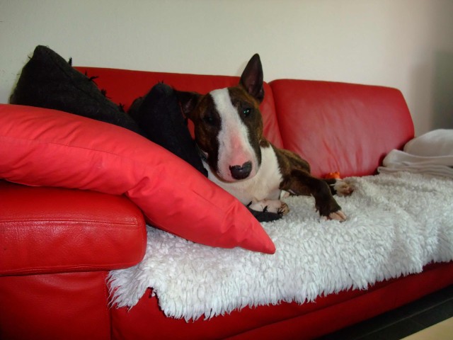 Attila sofa