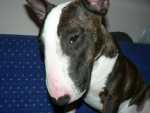 P1170016