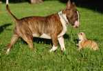 Kutt and his BIG (small) friend