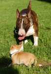 Kutt and his BIG (small) friend