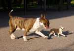 Kutt and his BIG (small) friend