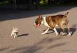 Kutt and his BIG (small) friend