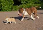 Kutt and his BIG (small) friend