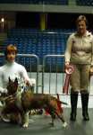Junior BIS 1 Potsu de Notsu Beast Kill or Die