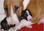 Kutt and his mother