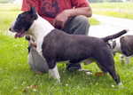 Hutch