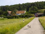 Hutch`s  way to home