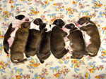 after born
