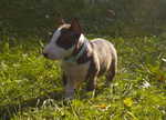 first day outdoor