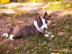 first day outdoor