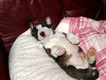 sleep