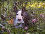 first day outdoor