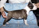 7 weeks