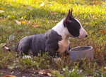 first day outdoor