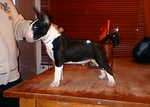 Martta in new home