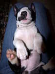 sleep