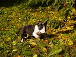 first day outdoor