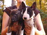 brother and sister