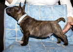 7 weeks