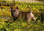 first day outdoor