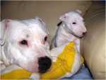 Cocco and Steffi