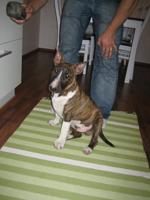 max in new home