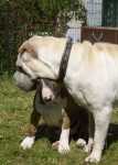 Maya and her friend