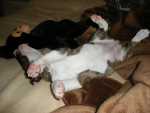 sleeping