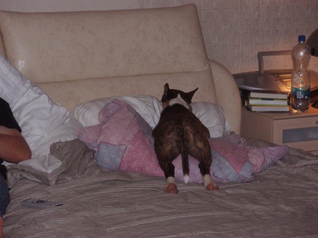 my bed, I sleep, like I like