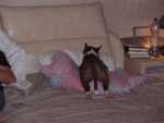 my bed, I sleep, like I like