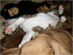 sleep