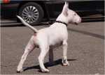 Ramos 4 mounth