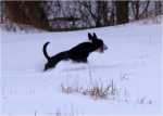snowgames (11)