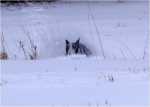 snowgames (12)