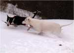 snowgames (8)